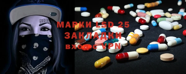 прущие грибы Нягань