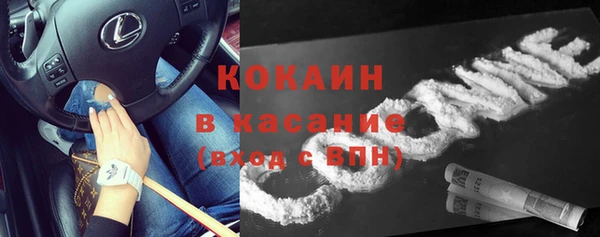 прущие грибы Нягань