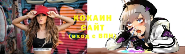 прущие грибы Нягань