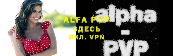 прущие грибы Нягань