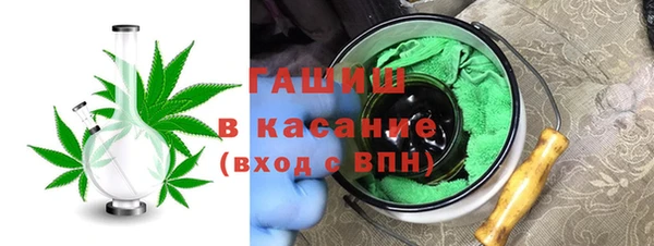 прущие грибы Нягань