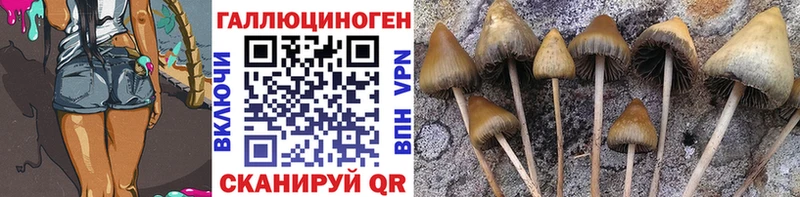 Галлюциногенные грибы Psilocybine cubensis  МЕГА ТОР  Новомосковск 