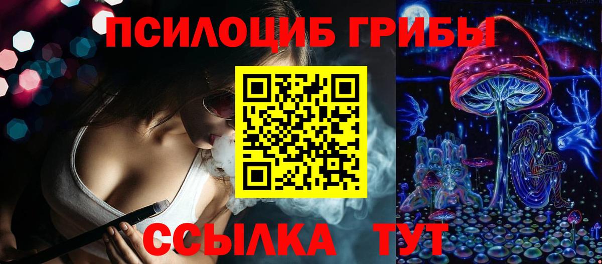 Галлюциногенные грибы прущие грибы  Вход с VPN  Новомосковск  Псилоцибиновые грибы Psilocybe 