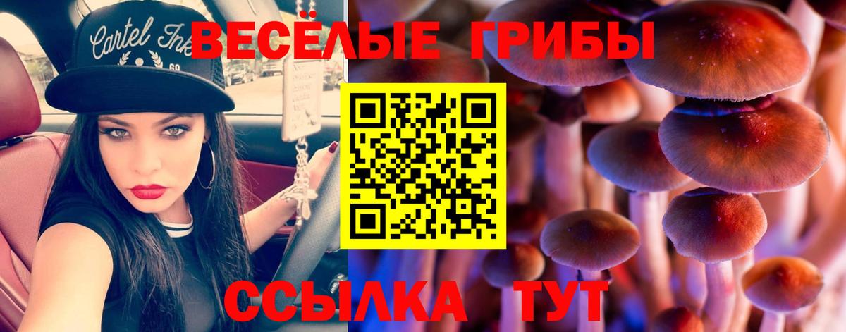 Псилоцибиновые грибы мухоморы Новомосковск